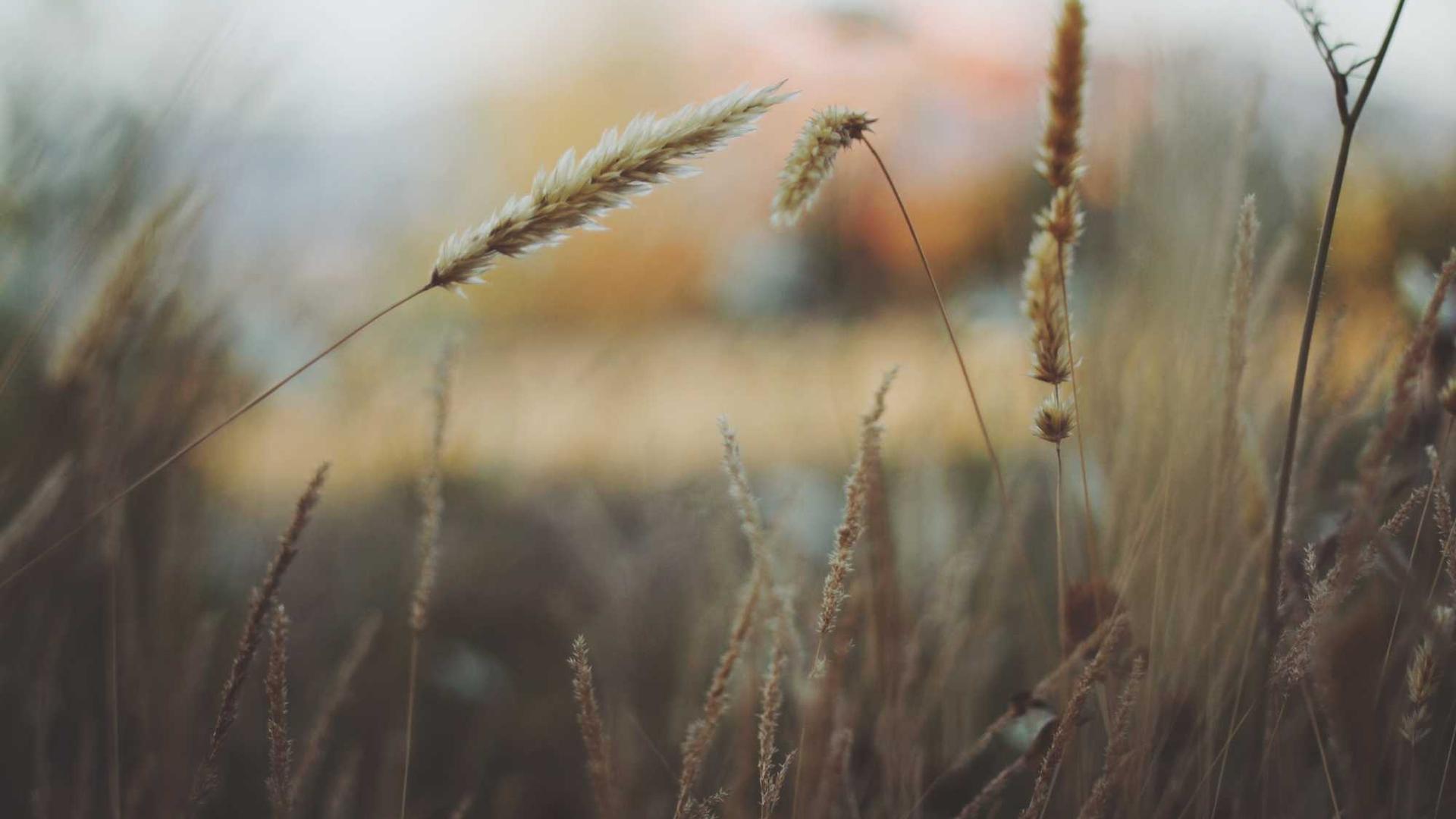 Quaerat ex eius exercitationem et inventore ullam a.