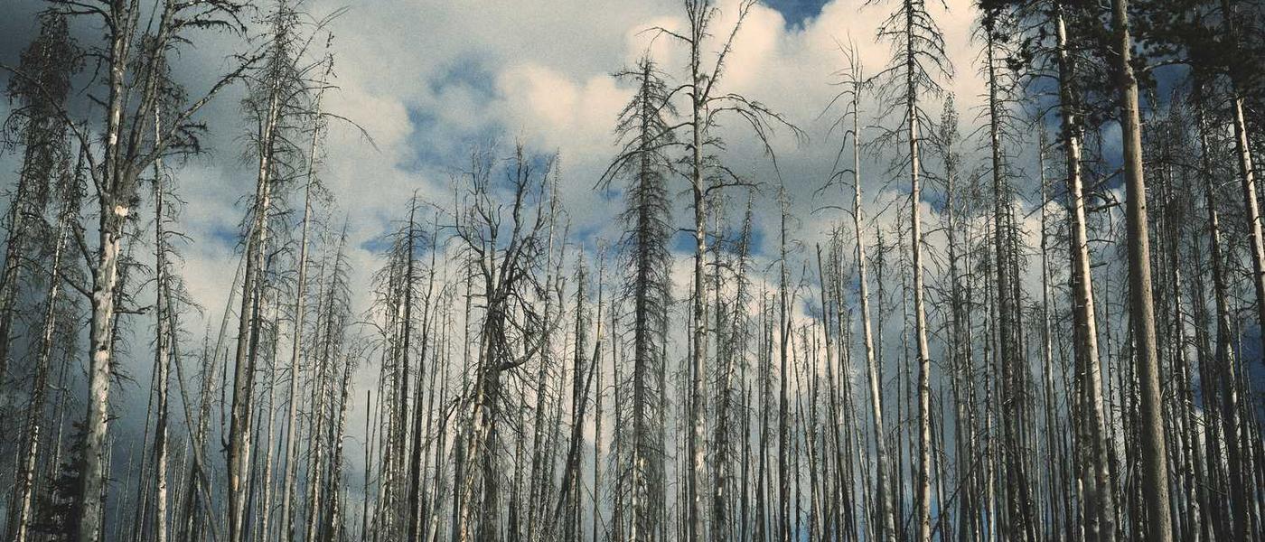 Soluta sit sit voluptatem quia molestiae itaque recusandae.